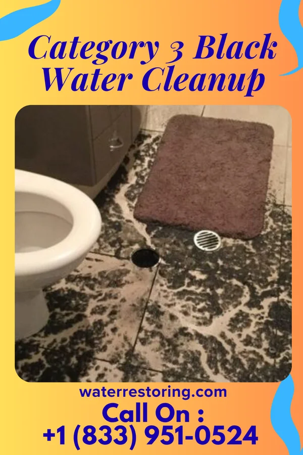 Category 3 Black Water Cleanup in Traer, IA