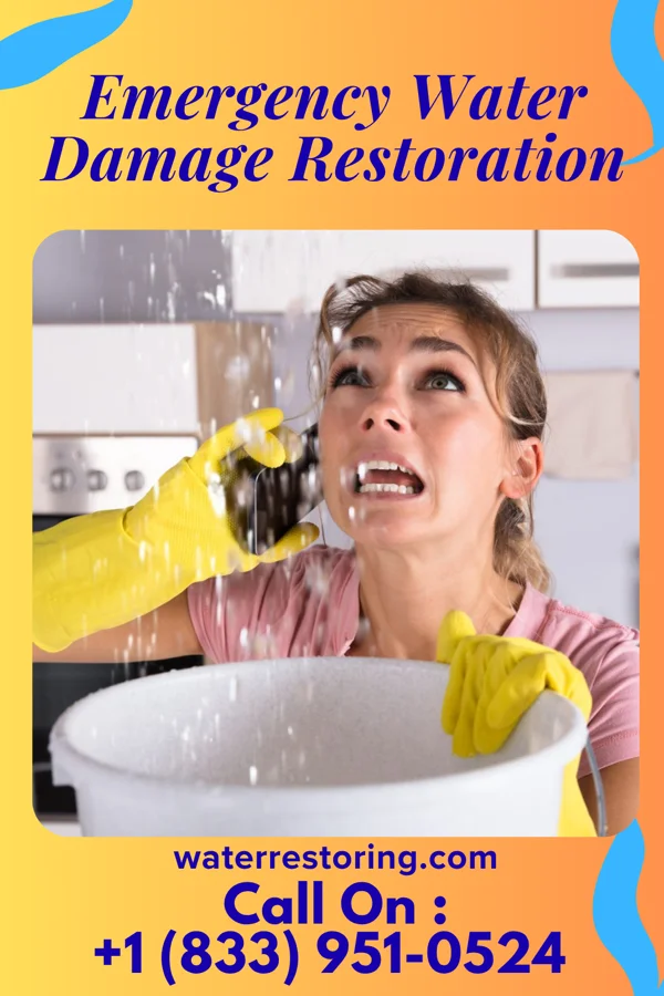 Emergency Water Damage Restoration in Traer, IA