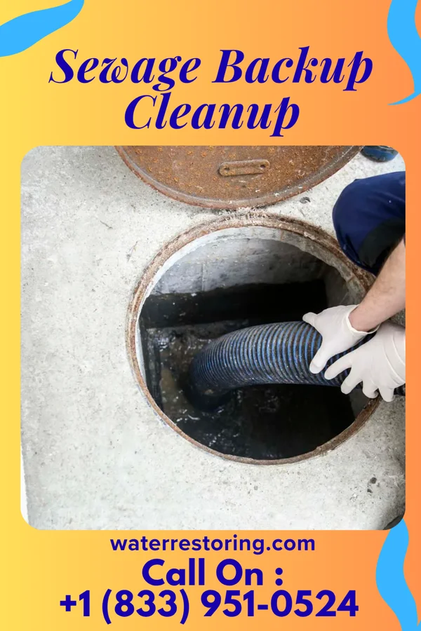 Sewage Backup Cleanup in Traer, IA