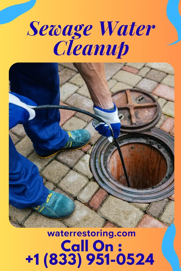 Sewage Water Cleanup in Traer, IA